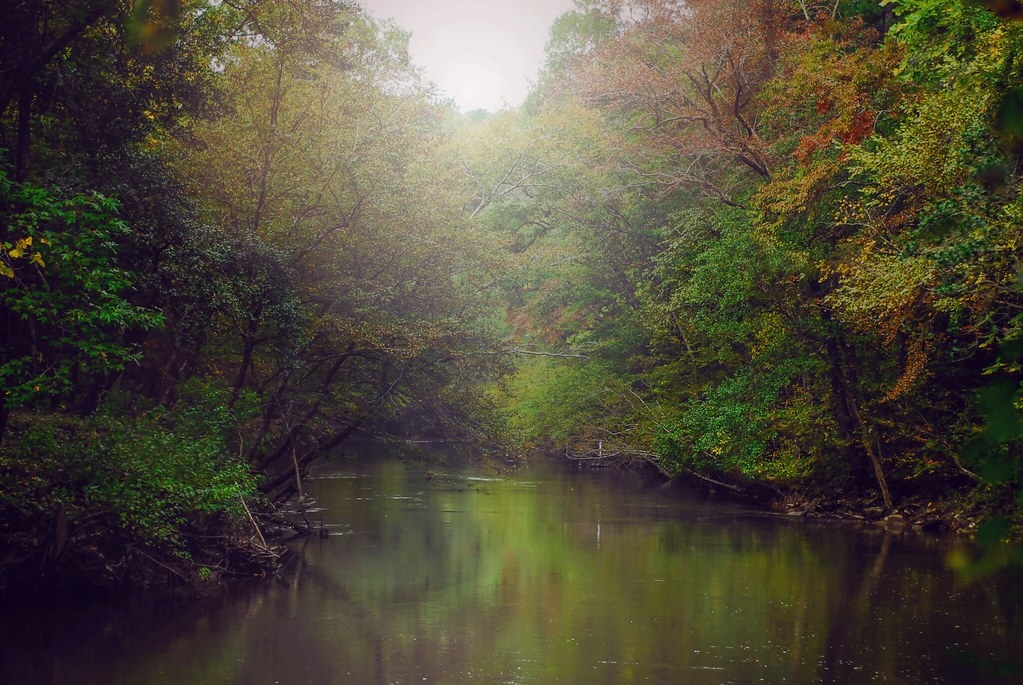 Descriptive alt text