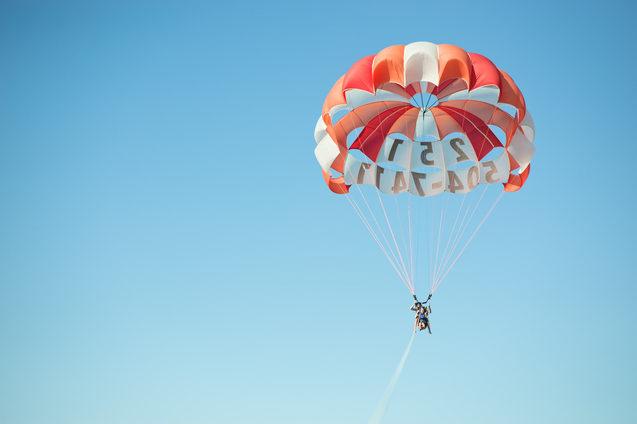 Dolphin cruise experience in Orange Beach Alabama for families and adventurers
