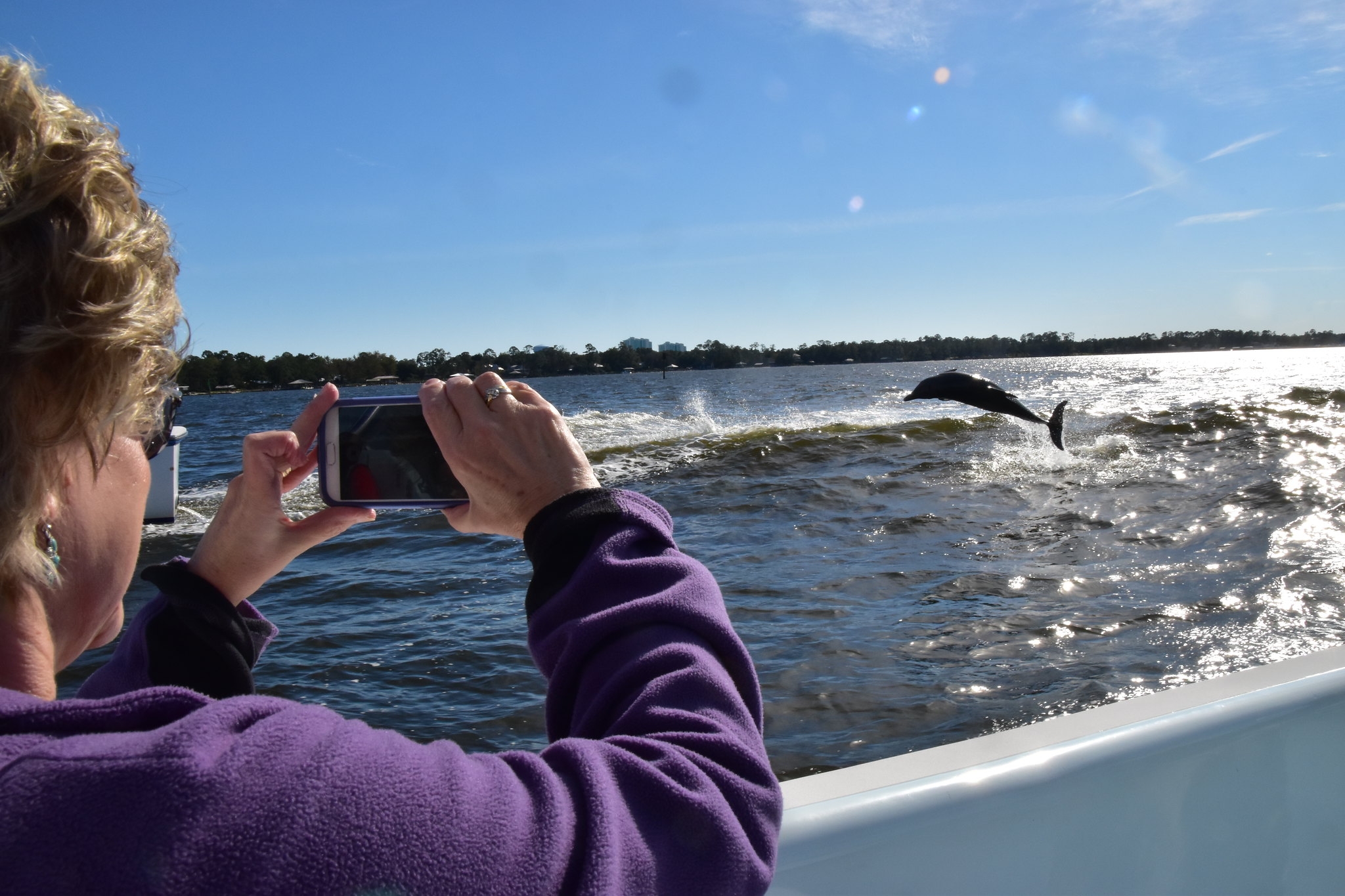 Dolphin cruise on the Gulf Coast near Gulf Shores and Orange Beach
