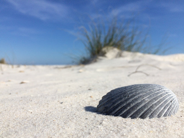 White Sands: Learn About The Sugar Sands Of Gulf Shores Beaches