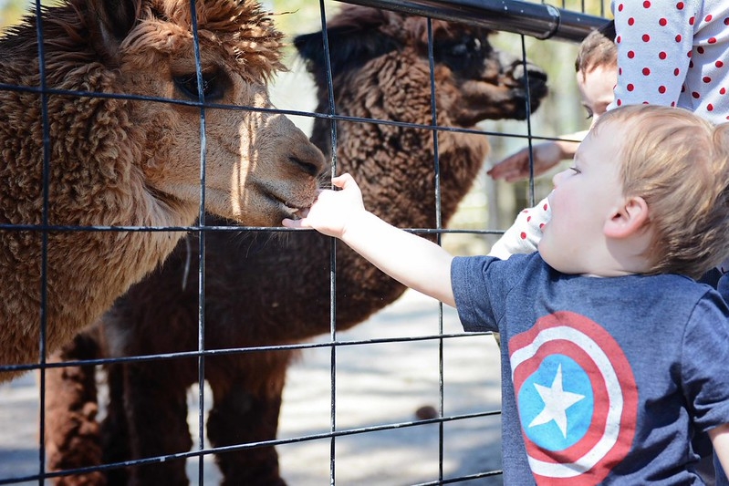 Alabama Gulf Coast Zoo