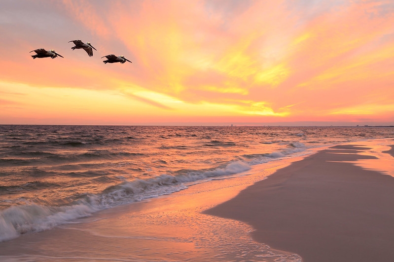 Alabama Gulf Coast beach during the fall season