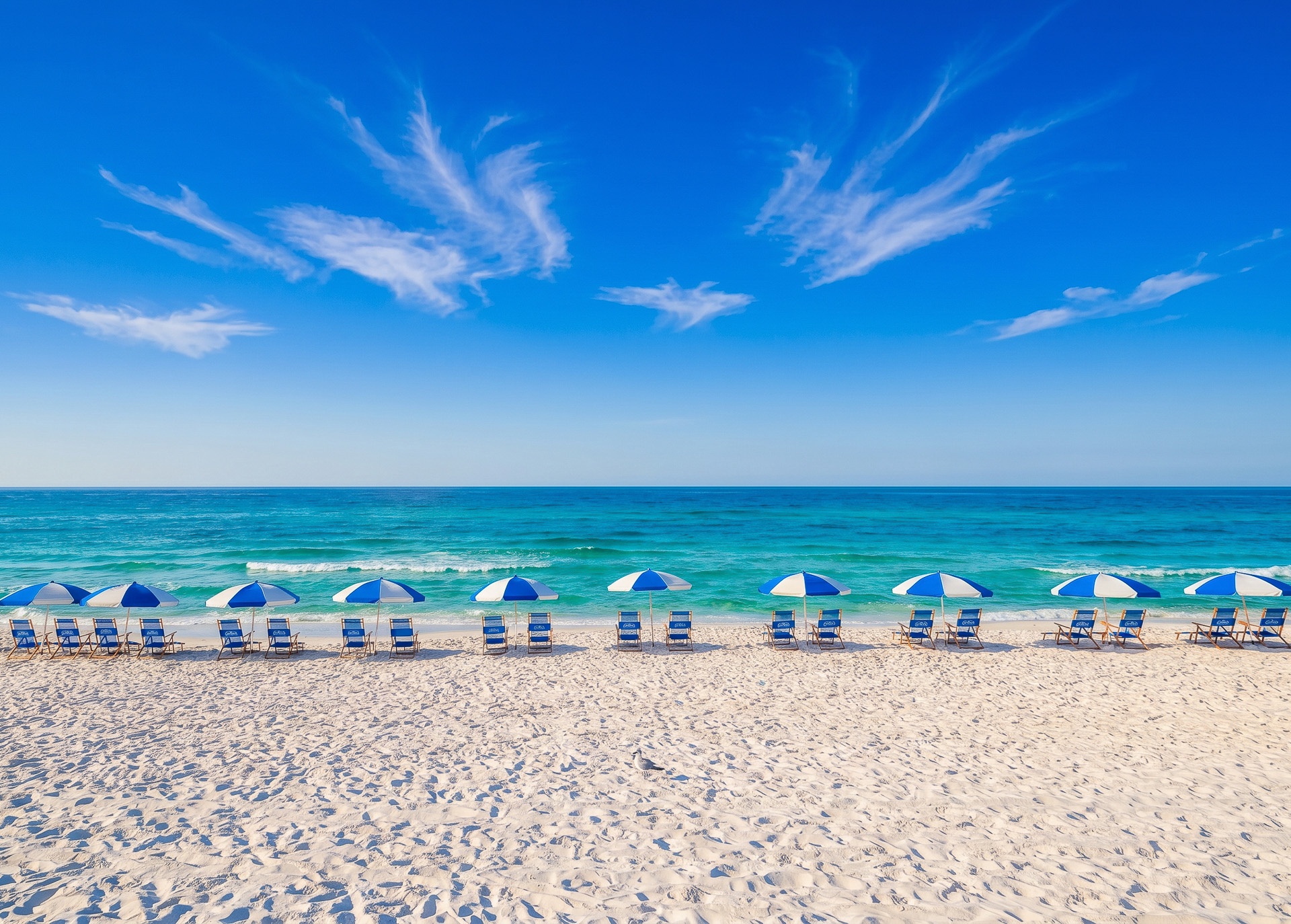 Beach umbrellas along the shoreline