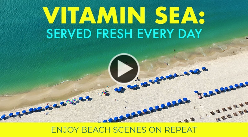 Live Beach Cam