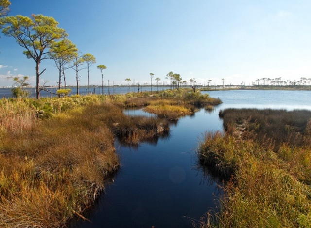 Bon Secour Wildlife Refuge