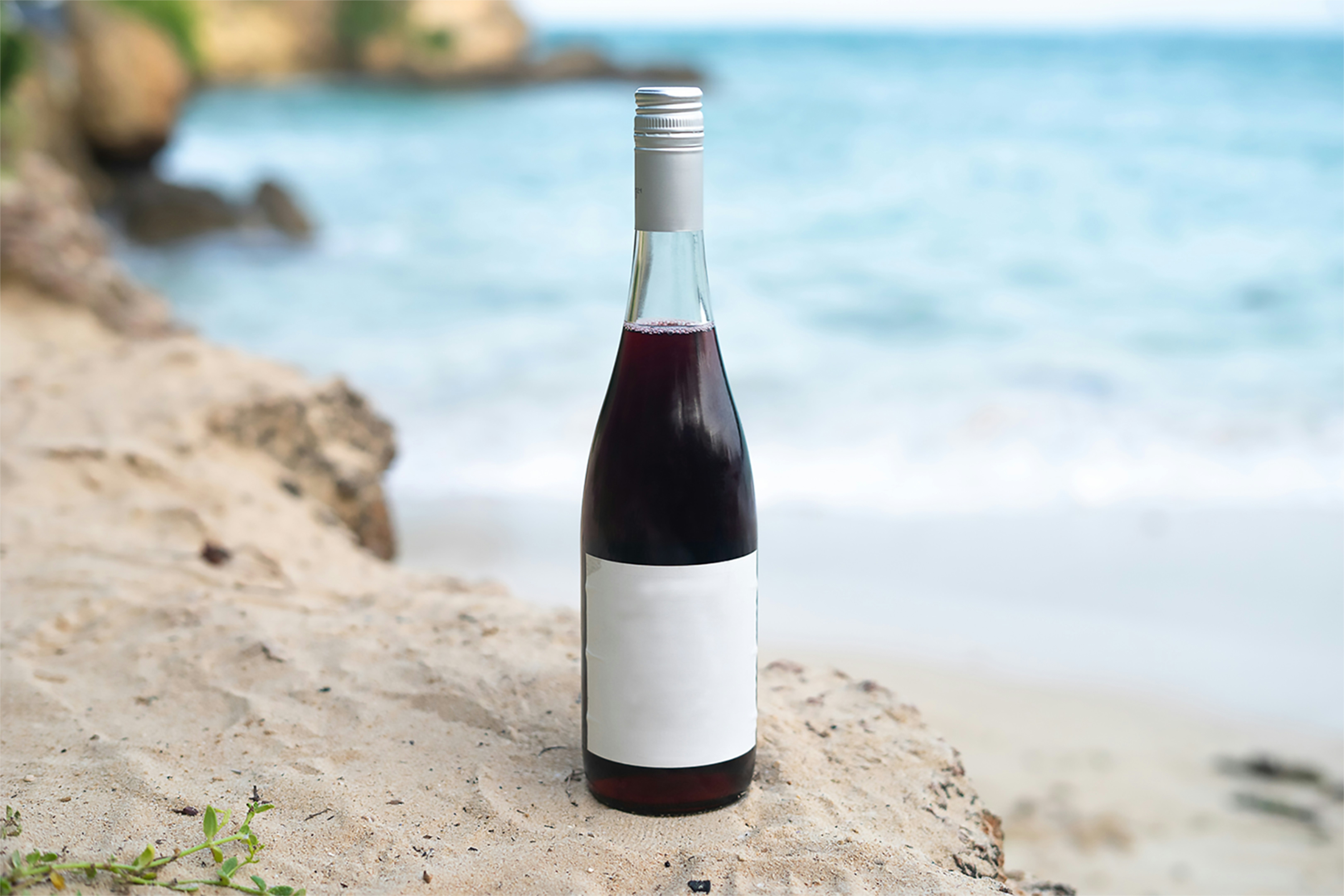 People enjoying wine tasting by the water