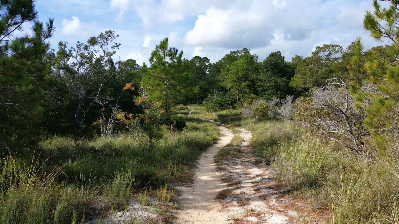 Paved trail through Gulf State Park near Orange Beach and Gulf Shores