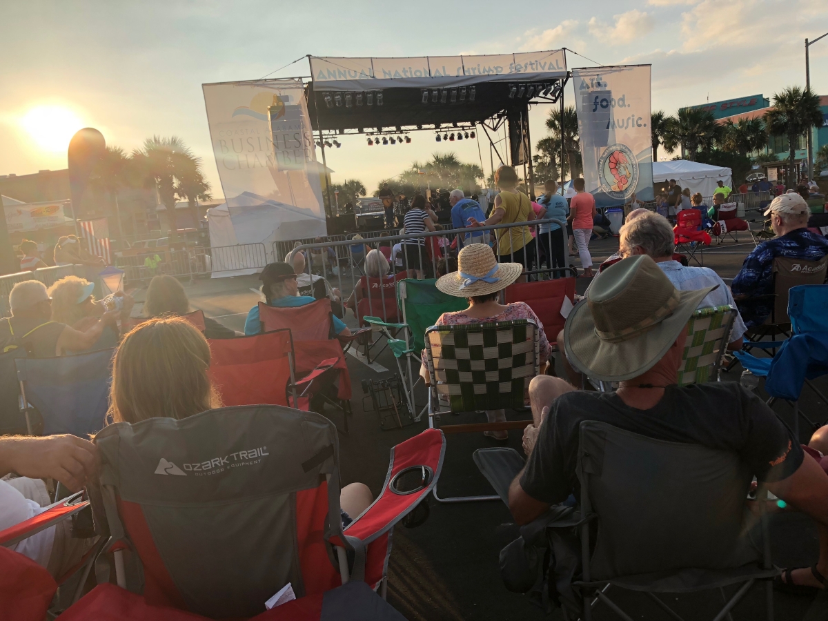 Audience gathered for an outdoor festival performance