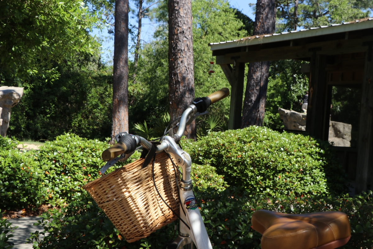 Bicycle basket in the foreground of a Gulf State Park outing