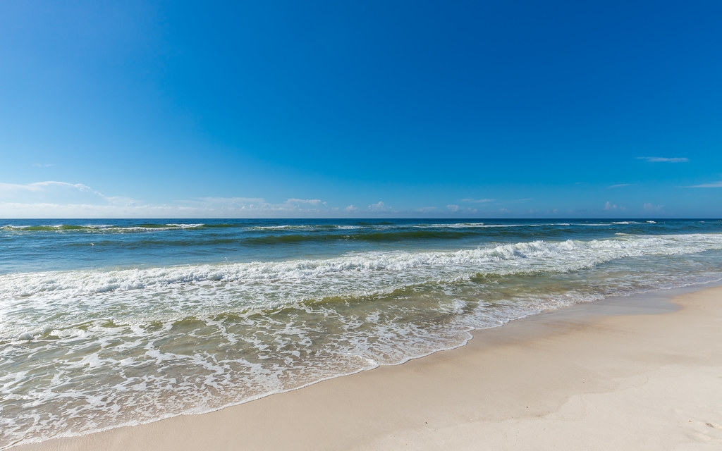 Gulf waves along the beach